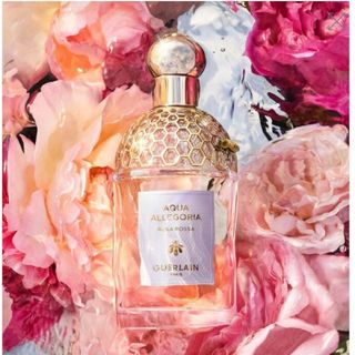 GUERLAIN - 【廃盤品】グルマンコキャン ゲランの通販 by 嶺's shop