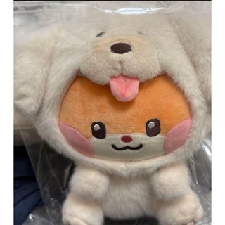 ZEROBASEONE - ZB1 ハオ ハニニ zeroni ぬいぐるみラインフレンズの