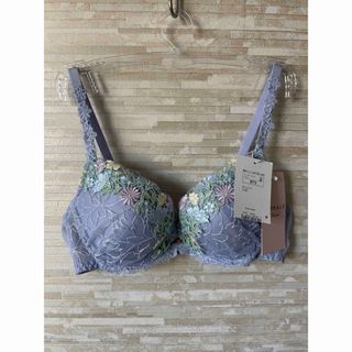 モテフィット ブラ てんちむ ナイトブラ フリーサイズ S～M 新品未使用