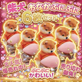 ポピー 南の虹のルーシー わんぱくモッシュ 人形のみの通販 by ho**ri