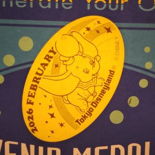 Disney - 【WDW限定】シンバ ポップコーン バケット【ライオンキング