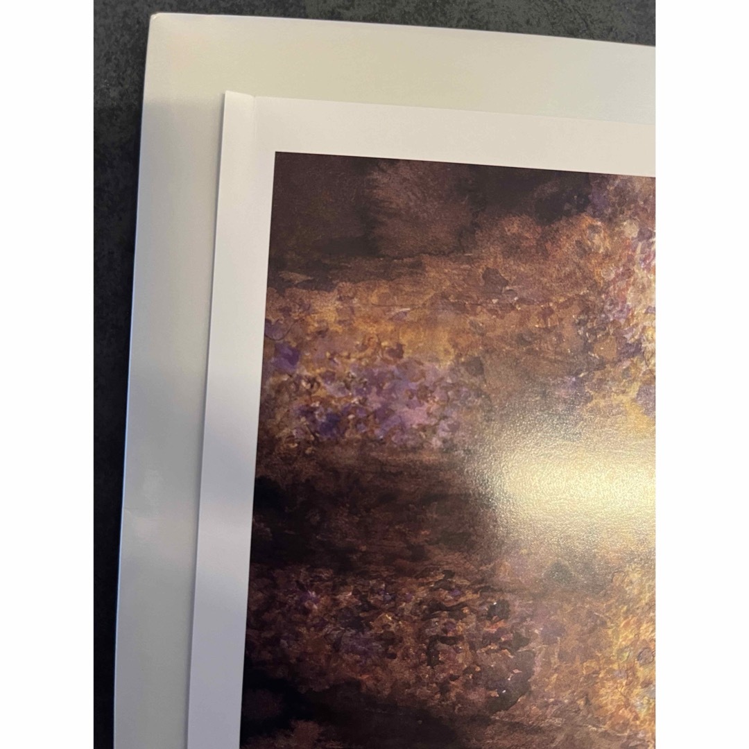 入手困難 吸血鬼ハンターD、その他 イラスト4枚セット集 画・天野喜孝