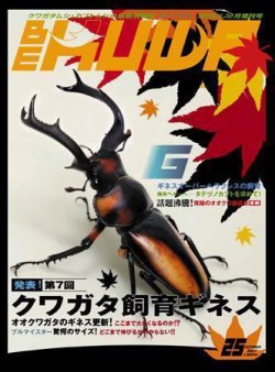 BE-KUWA（ビークワ） 25 (発売日2007年10月18日) | 雑誌/定期購読の