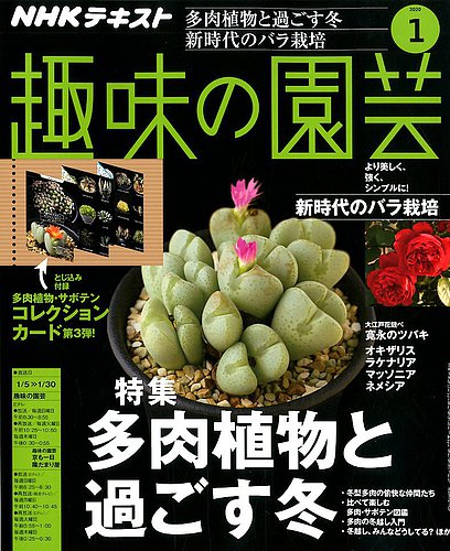 NHK 趣味の園芸 2020年1月号 (発売日2019年12月21日) | 雑誌/定期購読