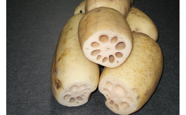 阿見レンコン（Mサイズ 5本程度 約4kg）【れんこん 蓮根 肉厚