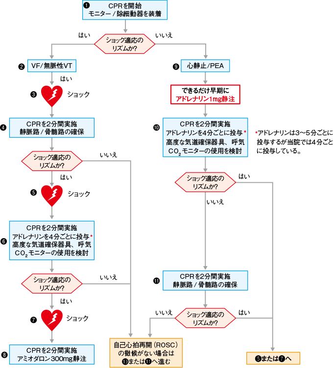 ACLS | 看護roo![カンゴルー]