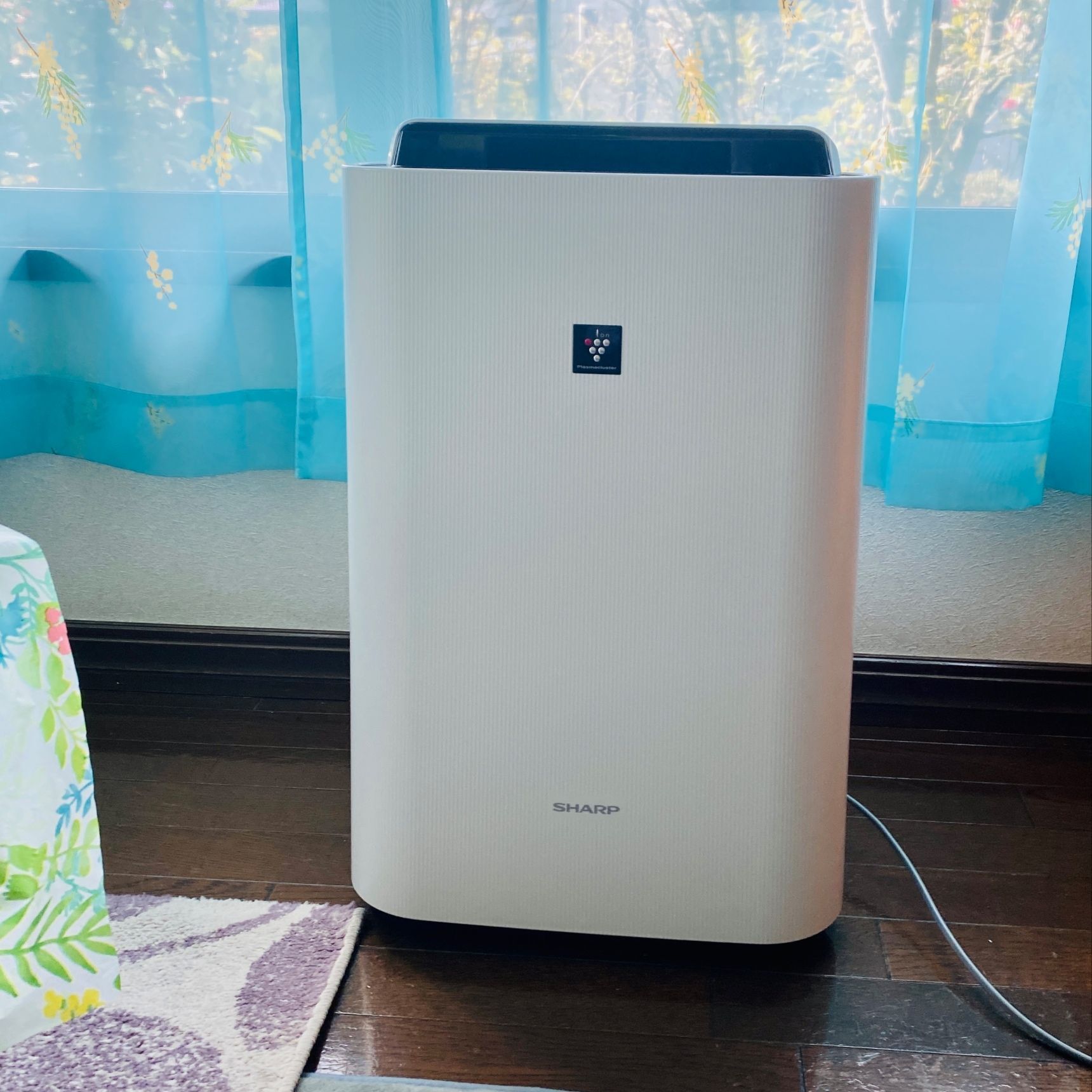SHARP KC-R50-W 加湿空気清浄機 2024年製 プラズマクラスター シャープ