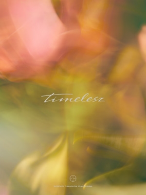 timelesz 【Limited Edition(初回限定盤)】(+DVD) : timelesz
