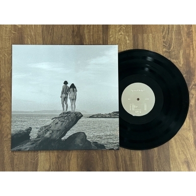 Here I Stand (アナログレコード) : 揺らぎ | HMV&BOOKS online