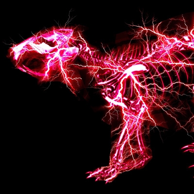 グラデーション : SUPER BEAVER | HMV&BOOKS online - SRCL-12469