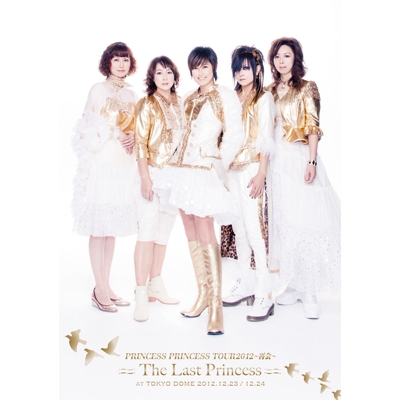 プリンセス プリンセス ツアーグッズ（東京ドーム） パンフレット