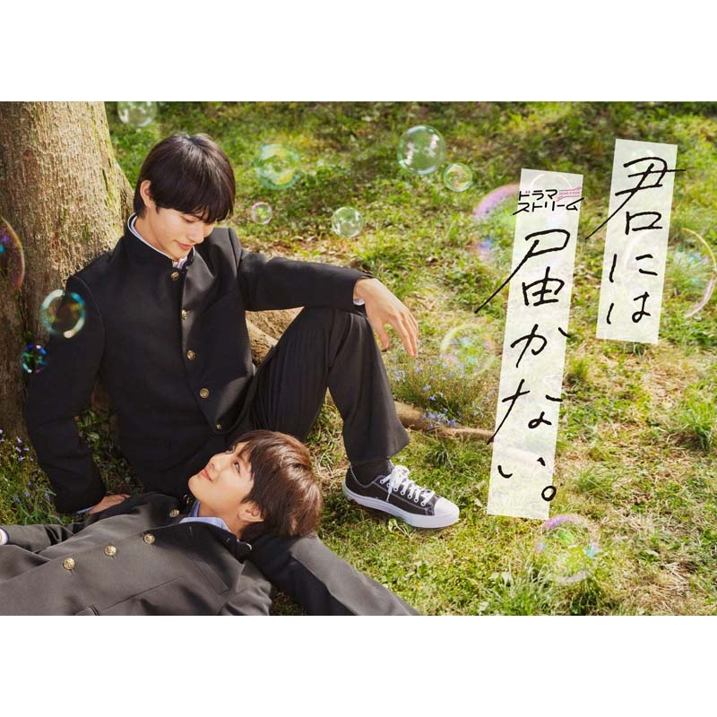 君には届かない。 DVD-BOX | HMV&BOOKS online - TCED-7254