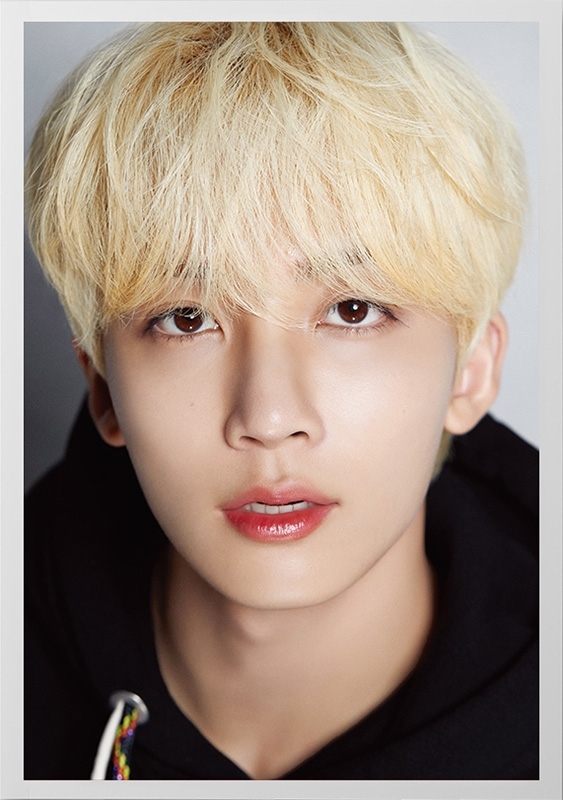 DICON D'FESTA SEVENTEEN JEONGHAN version《全額内金》 : SEVENTEEN