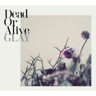 GLAY 新曲 63枚目ニューシングル『Dead Or Alive』2025年12月3日発売