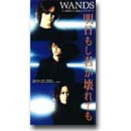 明日もし君が壊れても/Soldier : WANDS | HMV&BOOKS online - JBDJ-1039