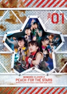 ももいろクローバーZ 春の一大事 2013 西武ドーム大会～星を継ぐもも