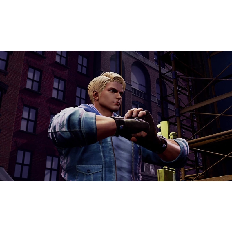 Nintendo Switch】ダブルドラゴン リヴァイヴ コレクターズ