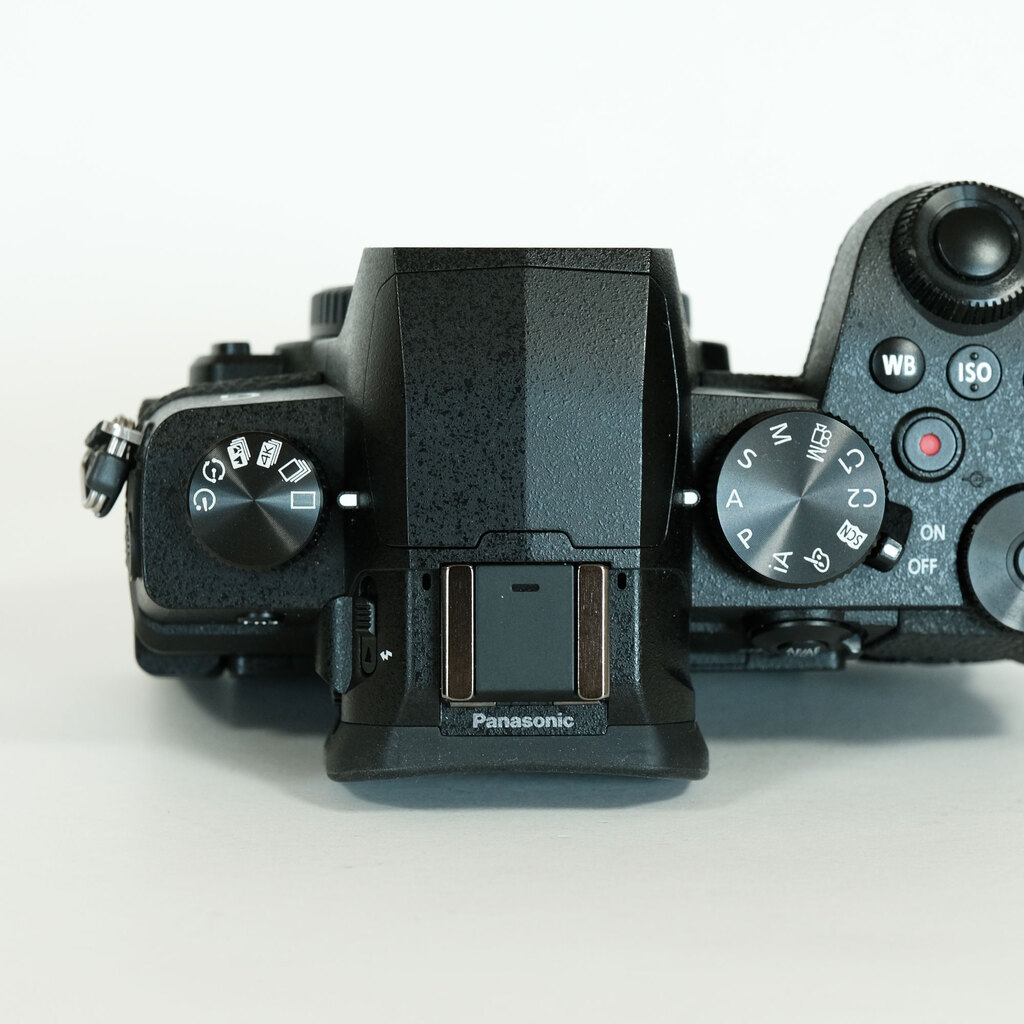 Panasonic LUMIX DC-G99の出品 | ONE SCENE（ワンシーン）