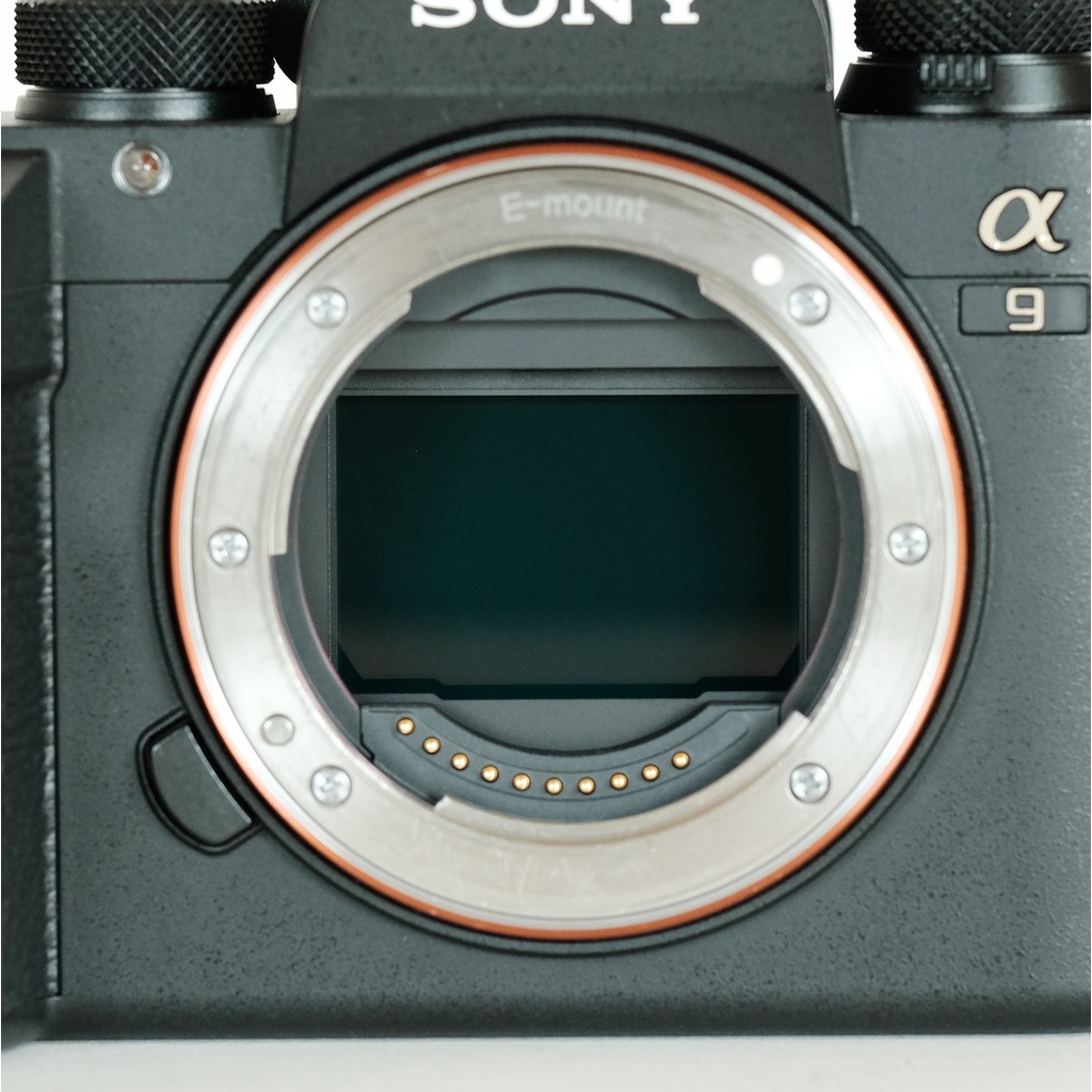 SONY α9（ILCE-9）の出品 | ONE SCENE（ワンシーン）