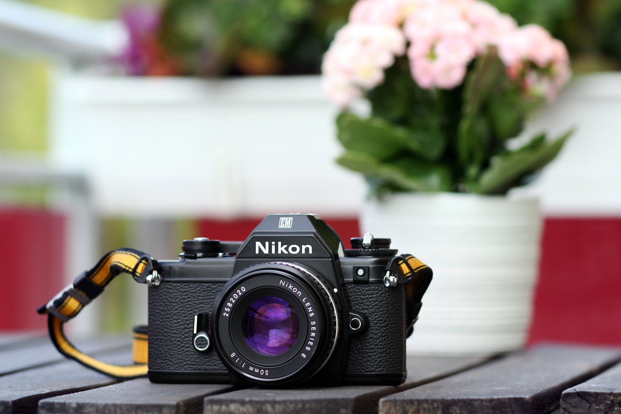 Nikon EMを徹底解説。作例からおすすめレンズまで | ONE SCENE（ワン