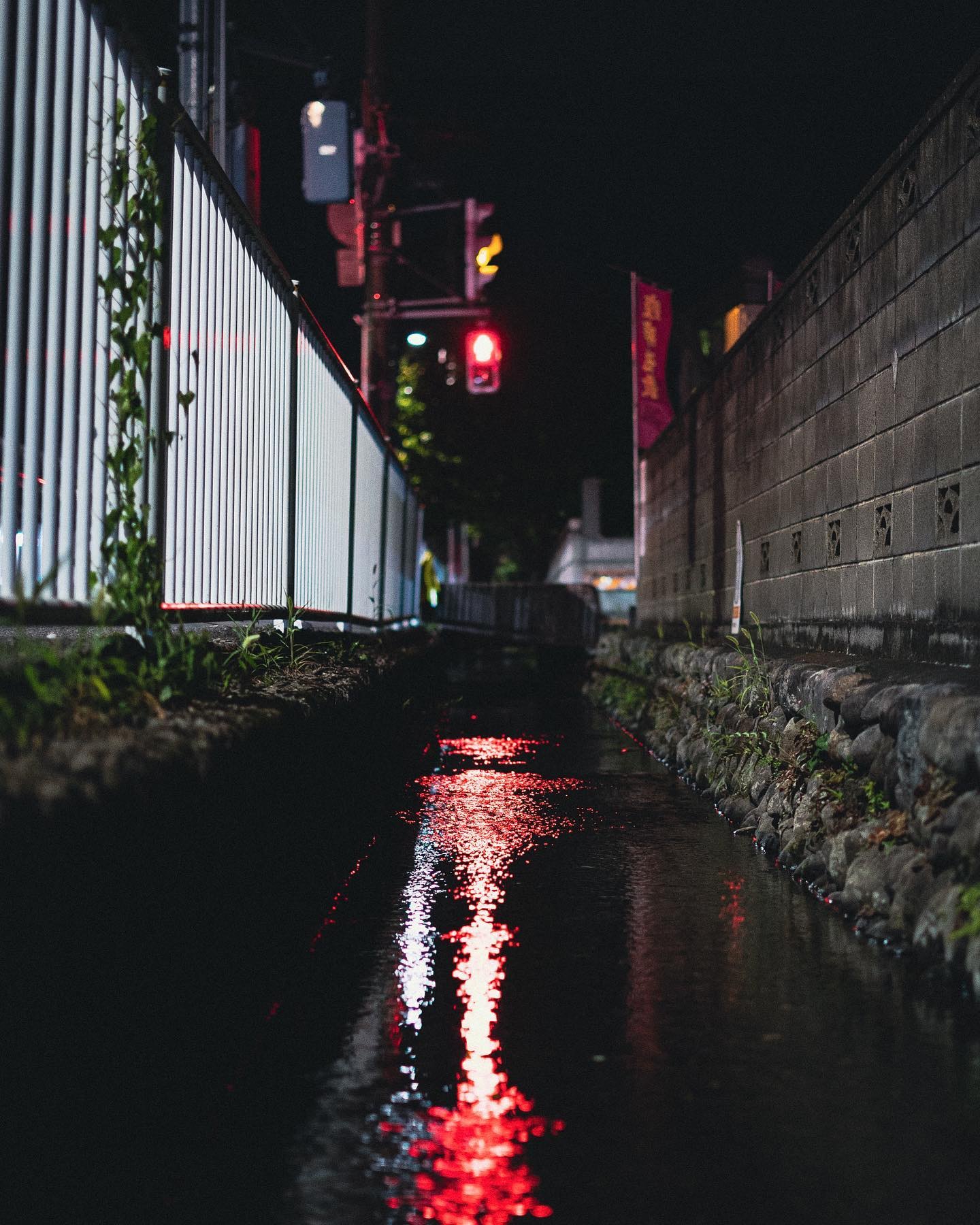 SONY FE 50mm F1.8 SEL50F18Fを徹底解説。作例からレビューまで | ONE