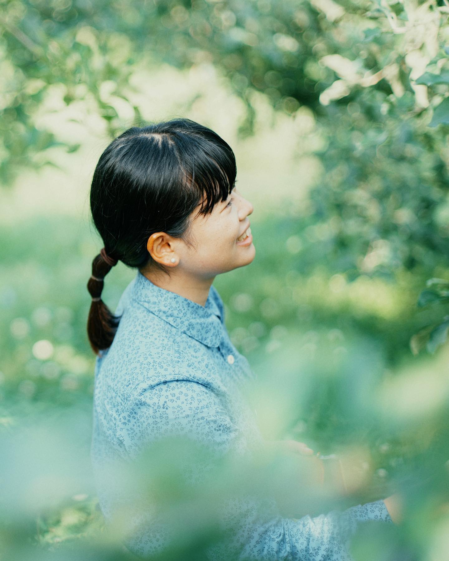 Mamiya Sekor C 80mm f1.9 作例あり Flickrで話題のMamiya Sekor C