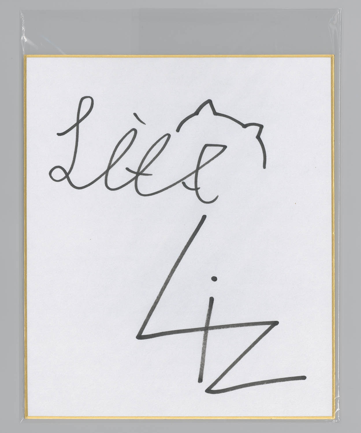 3602] KMNZ(ケモノズ) LIZ、LITA 直筆中サイズ色紙