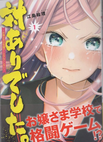 江島絵理 直筆イラストサイン本「対ありでした｡ ~お嬢さまは格闘ゲーム