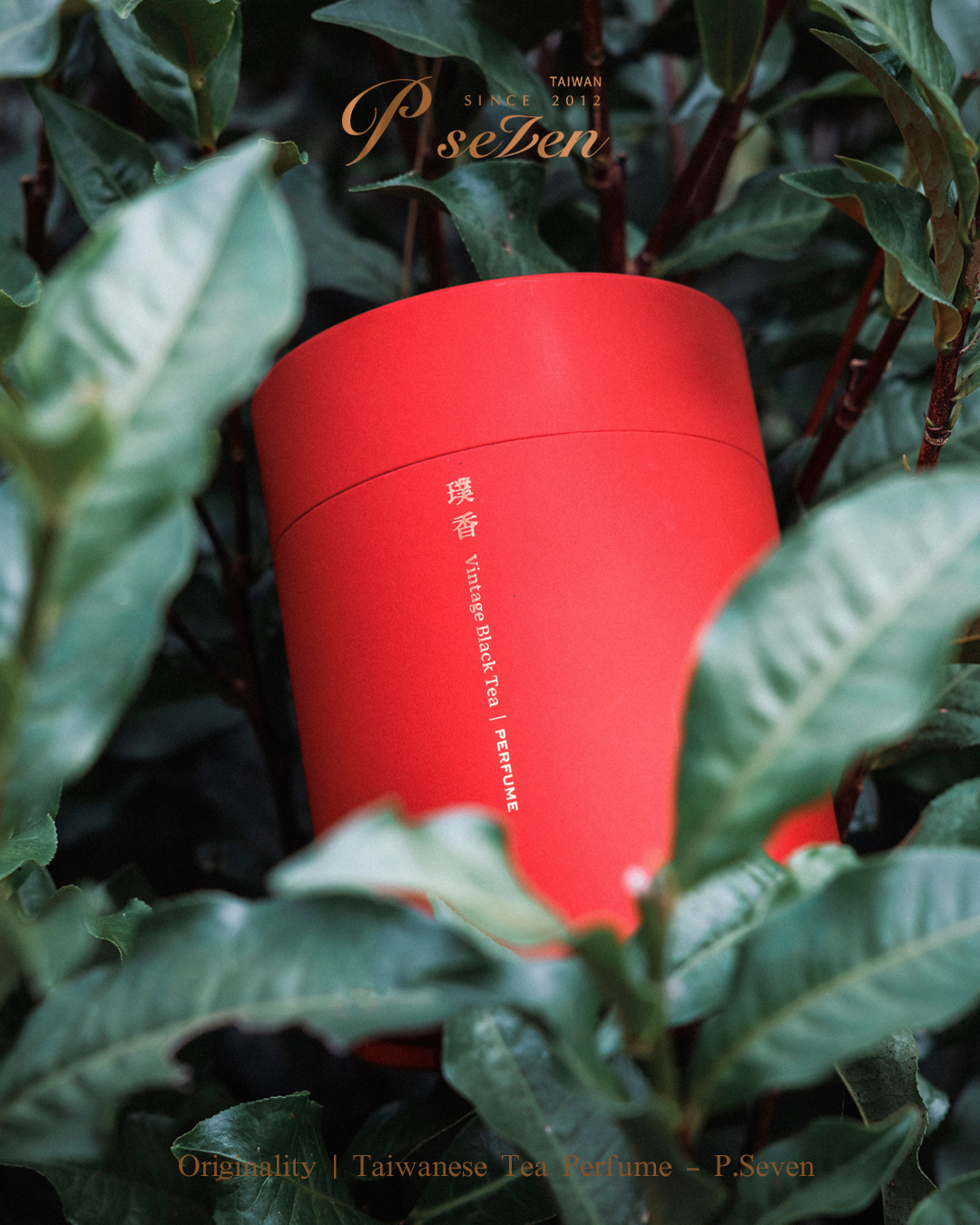 P.Seven 《 Ruby Black Tea 耀香》香水