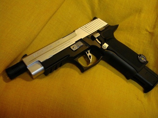 SENTINEL NINE！！！の超安直カスタム！！！ - ヘッドバンガーさんの