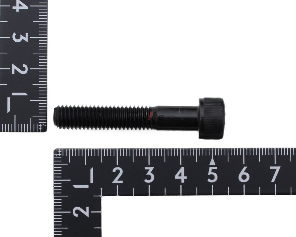 Webike | MOTO禅 モトゼン ヤマハWR250R用 WR250Xホイール取付け