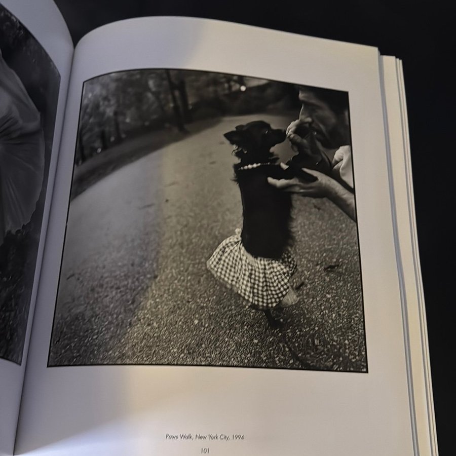 Mary Ellen Mark: American Odyssey 1963-1999 av .. | Köp på Tradera