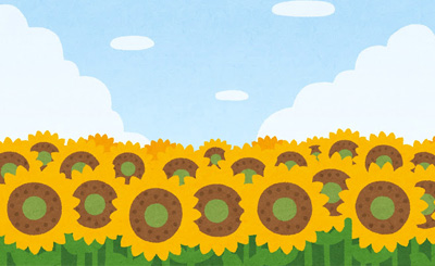 SP ひと夏の思い出「凰鈴音」(サイン入り) 買取 | IS<インフィニット