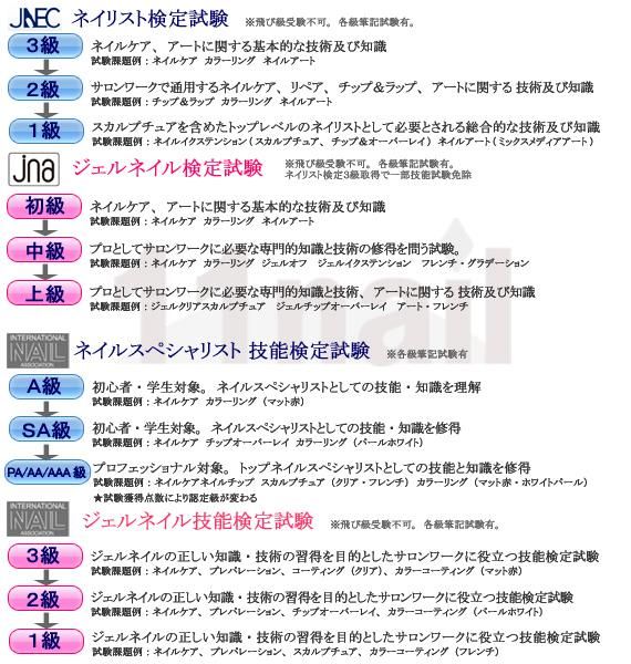 ネイルの資格はどんなもの？』ネイリストになるには - イイネイル