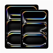 Apple iPad Pro 13インチ Wi-Fi 512GB 2024年春モデル MVX43J/A