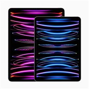 Apple iPad Pro 12.9インチ 第6世代 Wi-Fi 256GB 2022年秋モデル 価格