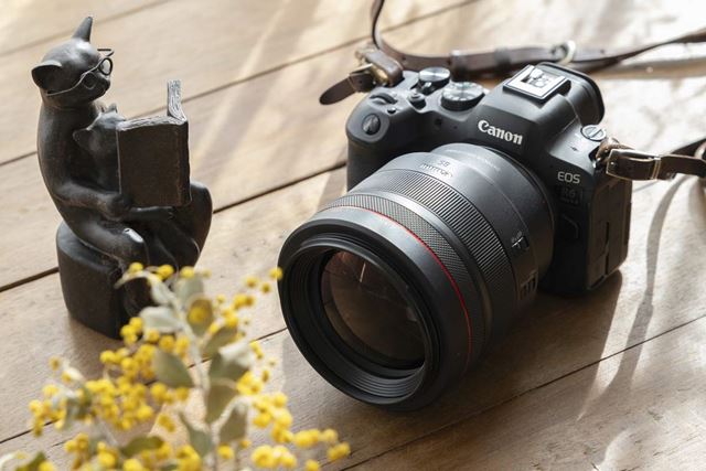 CANON EOS R6 Mark II ボディ 価格比較 - 価格.com