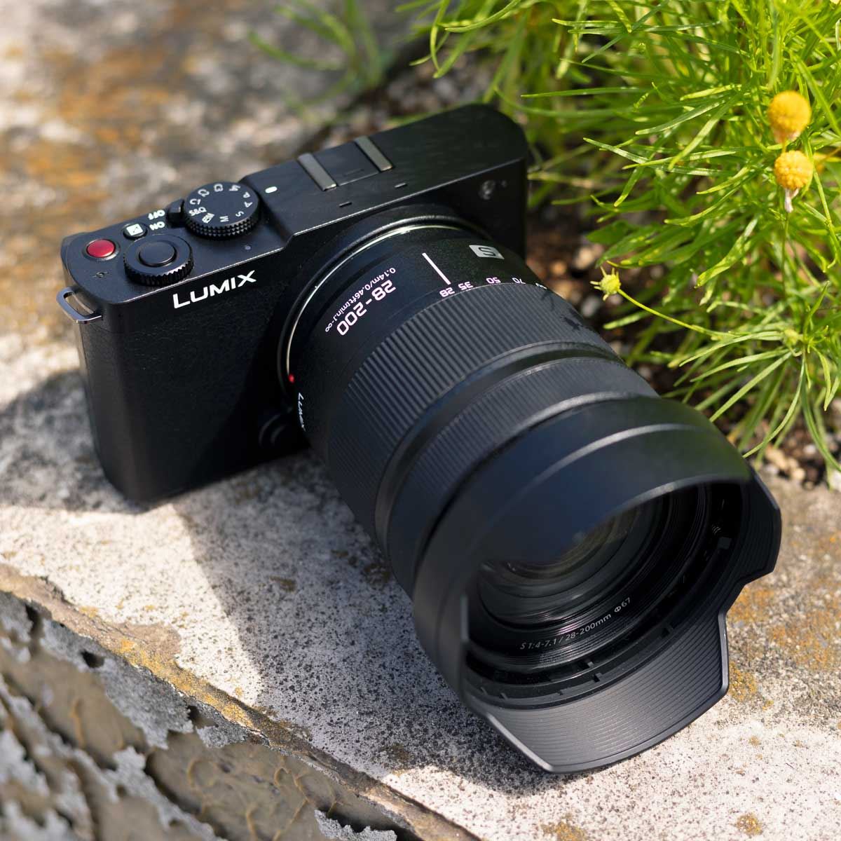 小型・軽量フルサイズ「LUMIX S9」とともに新緑美しい北鎌倉の古寺を