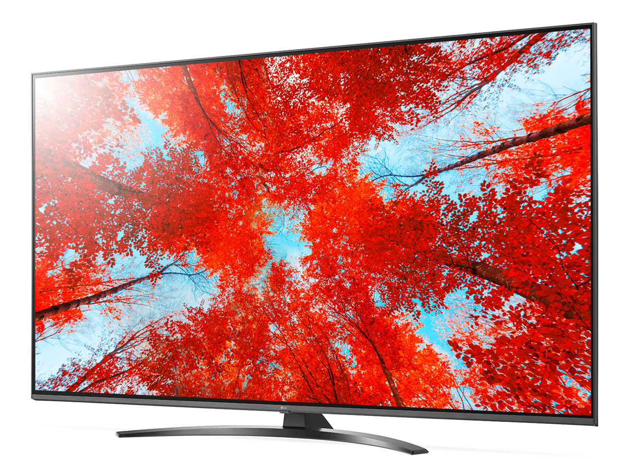 LGエレクトロニクス 55V型 地上 液晶テレビ55LA6600 大阪配送限定 LG