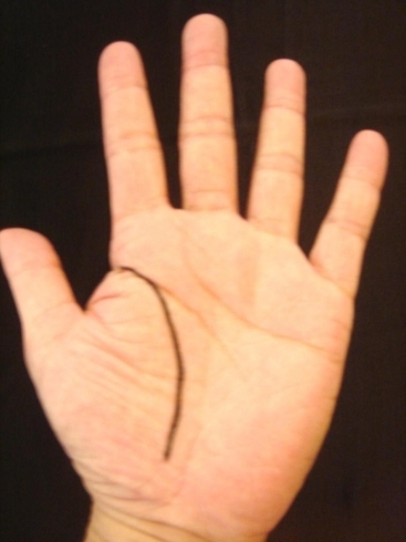 □手相占い □病弱線 | 新宮護大のニュース | まいぷれ[出雲]