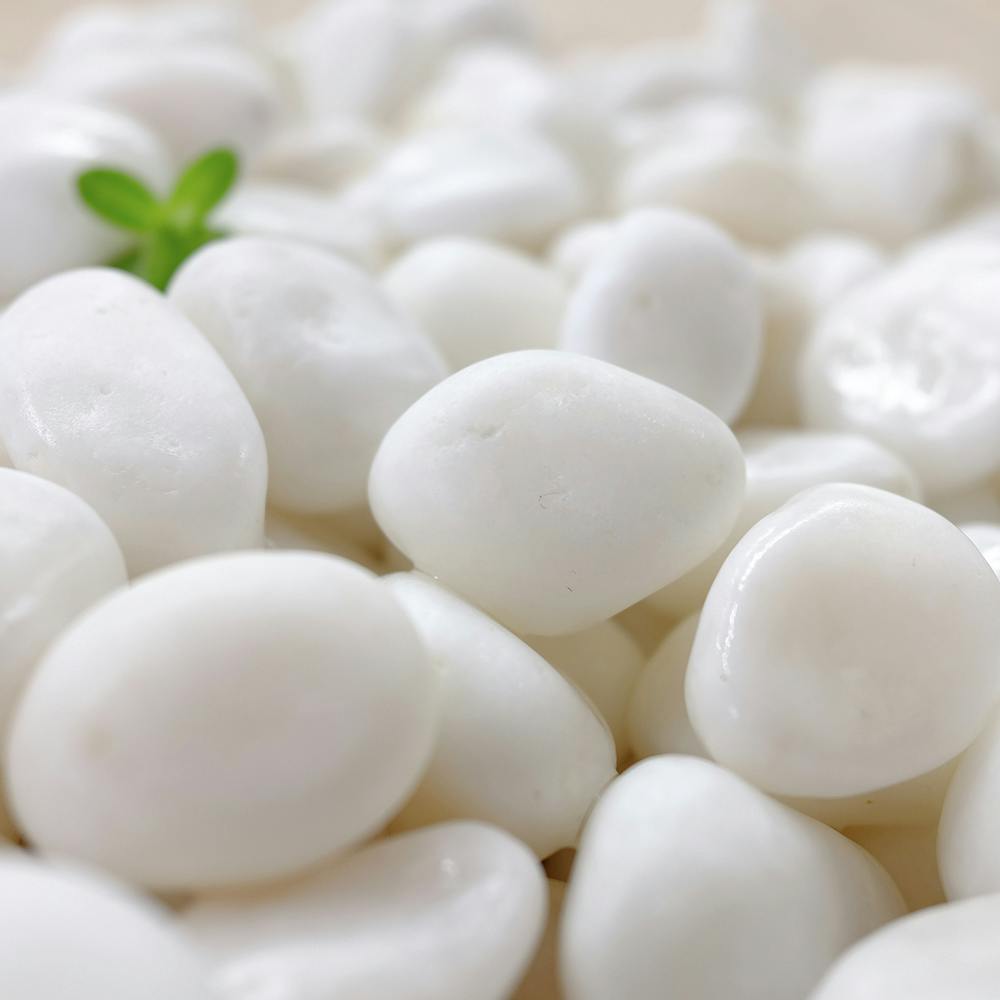 TAIKOH 高級白玉石 白仙 8分 20-25mm 10kg 化粧砂利 ホワイト 白 水