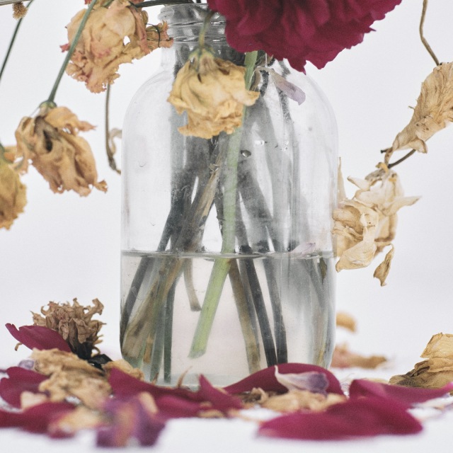 00000003.2926320.1761876623.