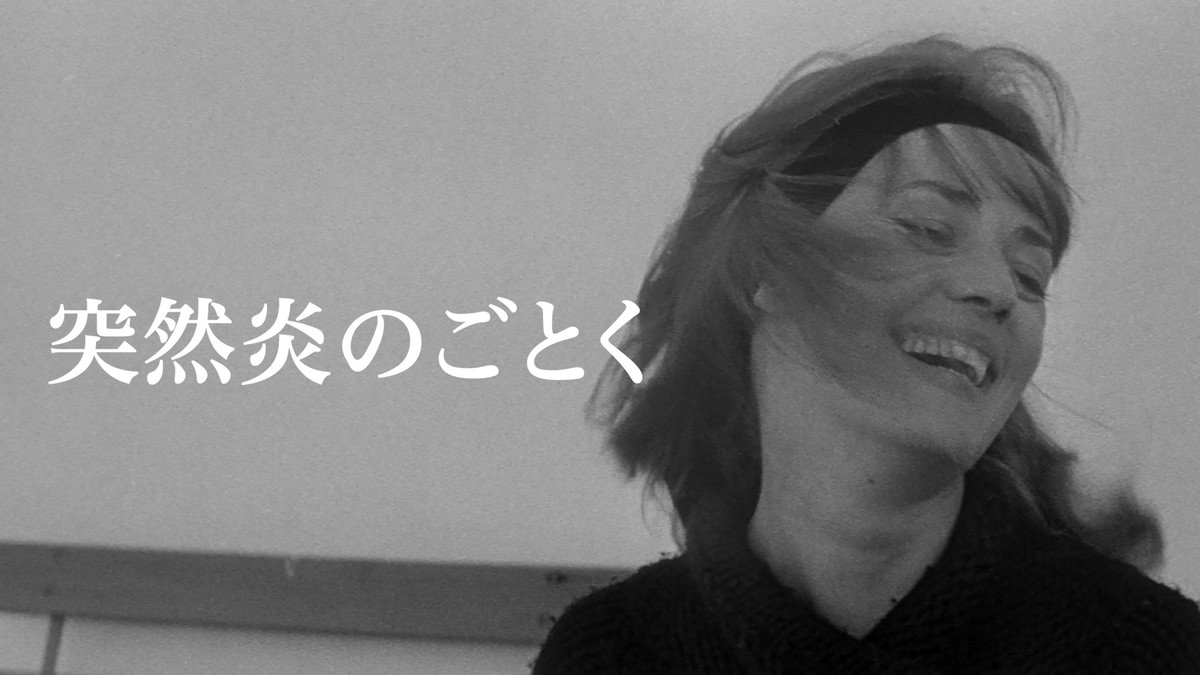 突然炎のごとく(洋画 / 1962) - 動画配信 | U-NEXT 31日間無料トライアル