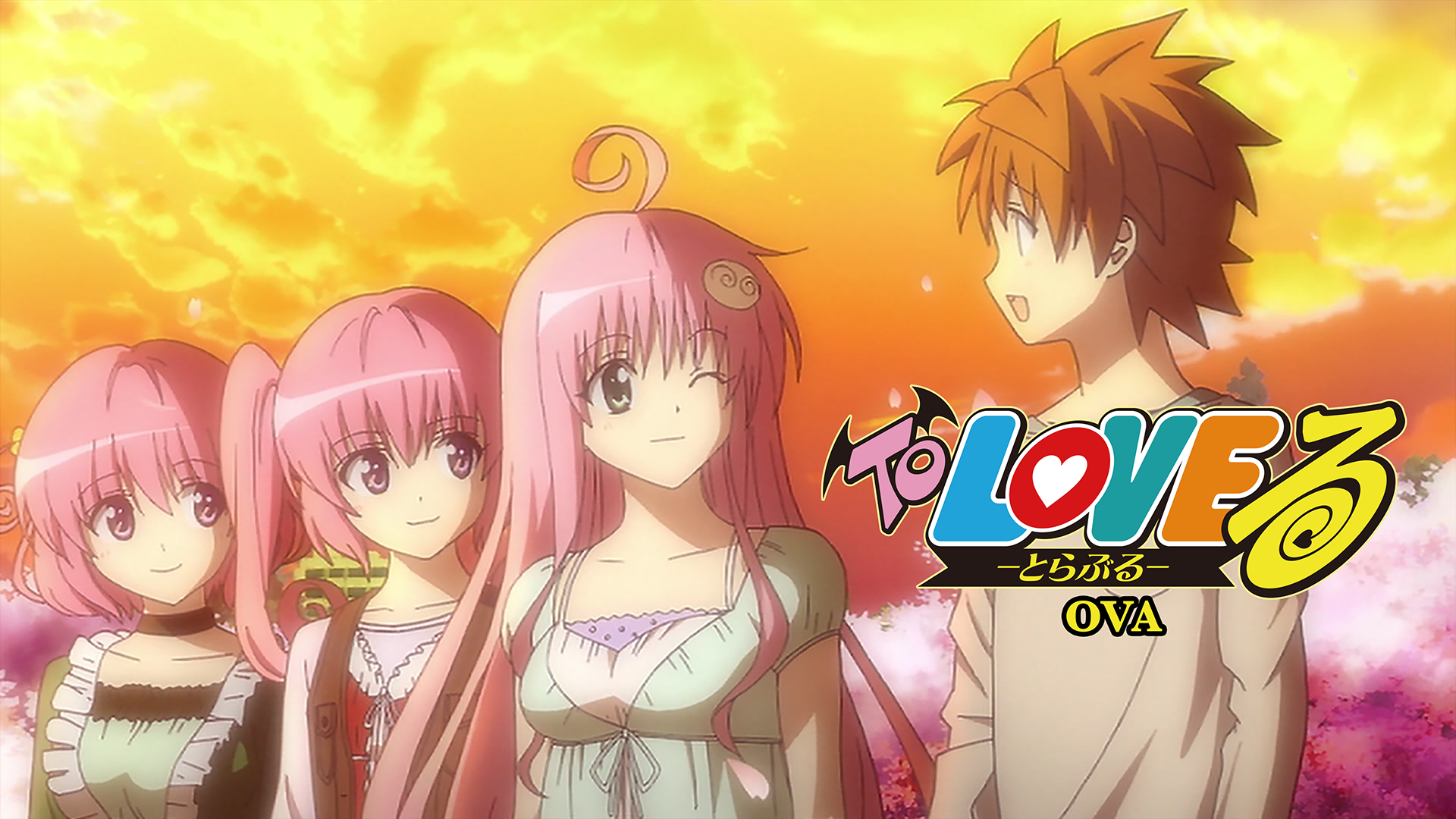 To LOVEる -とらぶる- OVA(アニメ / 2009) - 動画配信 | U-NEXT 31日間
