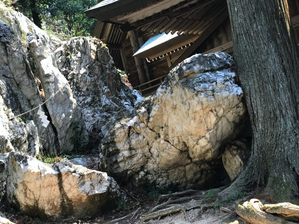 鹿島大神宮のペグマタイト岩脈 | 目次 | I ♡ NISHITA
