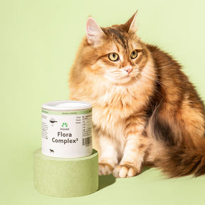 フローラ コンプレックス³