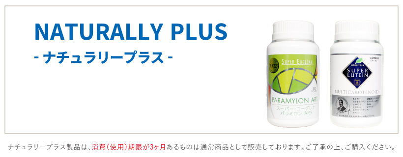 特大 売切☆【極上】ベトナム産 天然沈香 24.2g☆香木 伽羅 agarwood 逸品