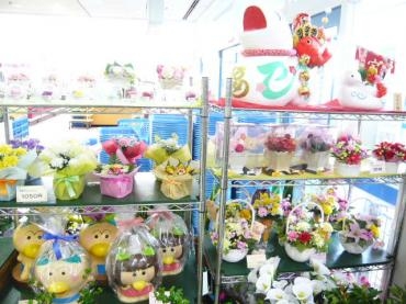 はなかっぱ鉢 ももかっぱちゃん鉢 | 花屋ブログ | 山形県上山市の花屋