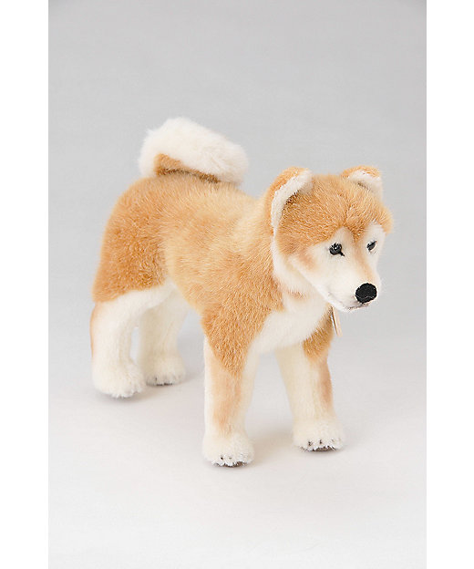受注商品】ぬいぐるみ・柴犬 | KOESEN (Baby&Kids)/ケーセン | 三越