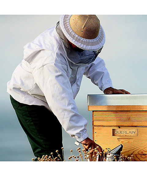 GUERLAIN（GUERLAIN） アベイユ ロイヤル バンデージ マスク 通販